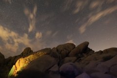 IMG_0376