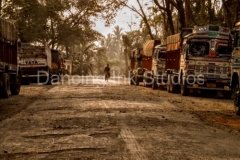 india02