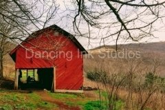 barn-life