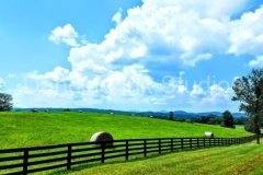 blue-sky-green-field-and-hay-bales