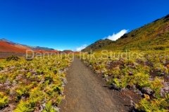 haleakala00