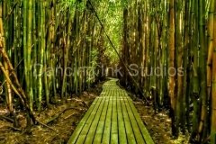 pipiwai-bamboo