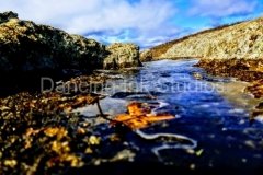 rock-lake