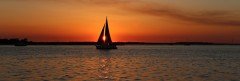 IMG_0119-cropped